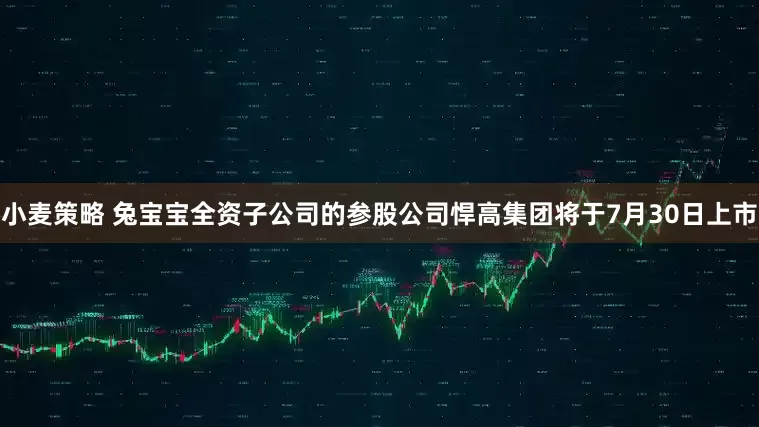 小麦策略 兔宝宝全资子公司的参股公司悍高集团将于7月30日上市