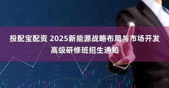 投配宝配资 2025新能源战略布局与市场开发高级研修班招生通知