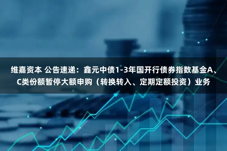 维嘉资本 公告速递:鑫元中债1-3年国开行债券指数基金A、C类份额暂停大额申购(转换转入、定期定额投资)业务