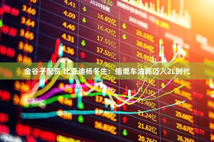 金谷子配资 比亚迪杨冬生：插混车油耗迈入2L时代